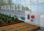 We plan heating for the greenhouse for the winter