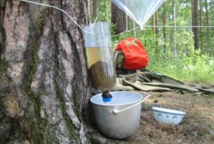 How to assemble a filter for water purification