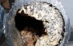 How to dissolve fat in sewer pipes