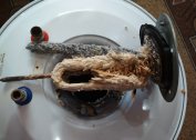 The reasons for the lack of hot water in the boiler and how to eliminate them