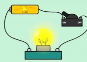 The concept of an electrical circuit and its components