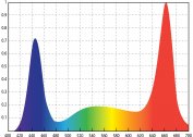 What is the coefficient of LED lamps - the spectrum of light and its effect on humans