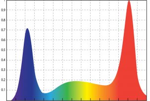 Mi a LED-lámpák együtthatója - a fény spektruma és annak hatása az emberre?