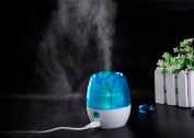 Le principe de fonctionnement et le but de l'humidificateur