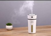 Cleaning the humidifier from scale and mold at home