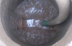 How and how to split fat in a cesspool