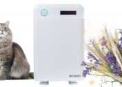 Which air purifiers are best for allergy sufferers or asthmatics