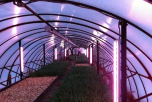 How to make DIY lighting for a polycarbonate greenhouse