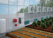 Options for heating a greenhouse in winter, an overview of the most efficient and economical methods of heat supply