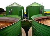 Methods for processing manure into biogas at home