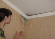 Façons de se débarrasser de l'humidité élevée dans l'appartement