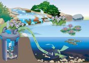 How to choose a filter for cleaning river water