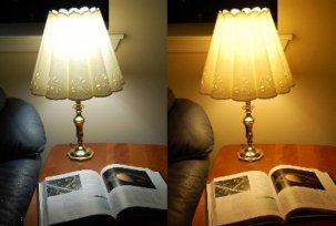What is the difference between warm and cold light in LED lamps