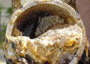How to dissolve body fat in pipes