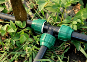 What pipes to choose for summer water supply in the country