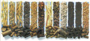 Wood pellets