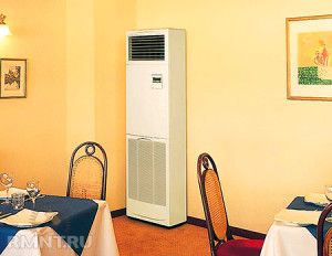 columned indoor unit