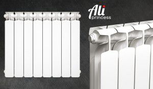 Radiators Ali Princess