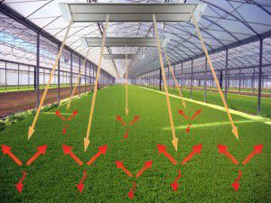 Infrared heating in the greenhouse