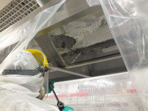 Professional ventilation disinfection