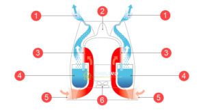 Conventional humidifier device