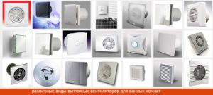 Varieties of fans